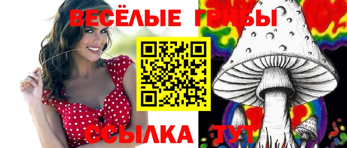 Реж  Псилоцибиновые грибы мицелий  Псилоцибиновые грибы Psilocybe  Вход с VPN 