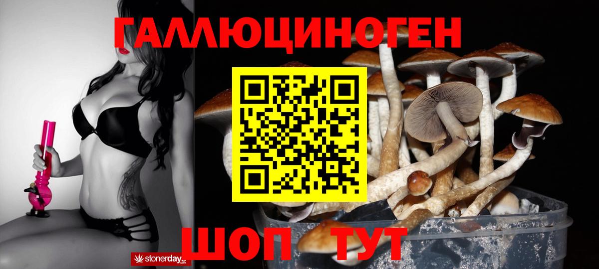 Псилоцибиновые грибы прущие грибы Реж